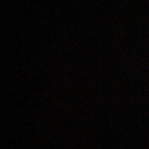 Meet your Posher, Shelby